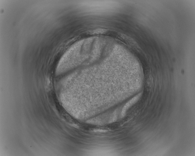 X0000076320743200610272004