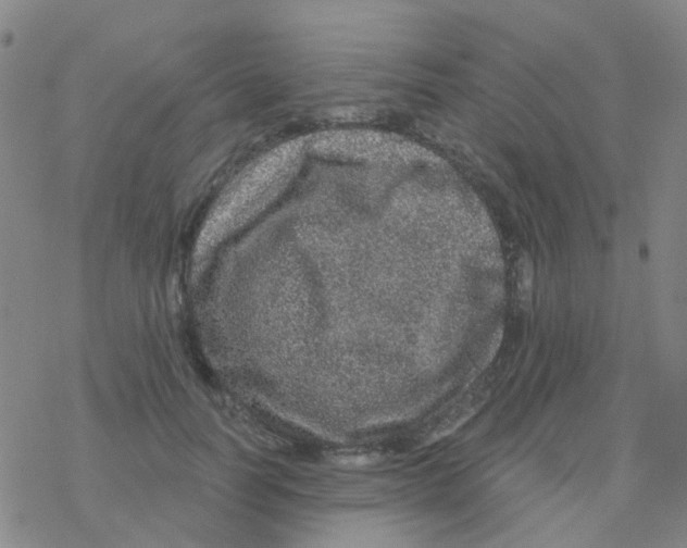 X0000076320746200610272004