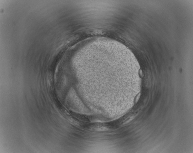 X0000076320747200610272004