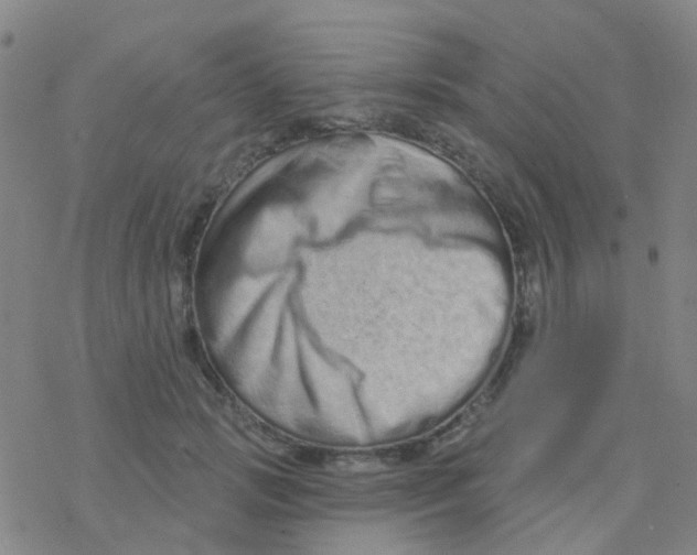 X0000076320749200610272004