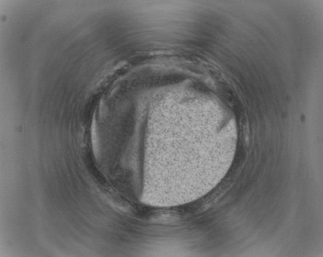 X0000076320750200610272004