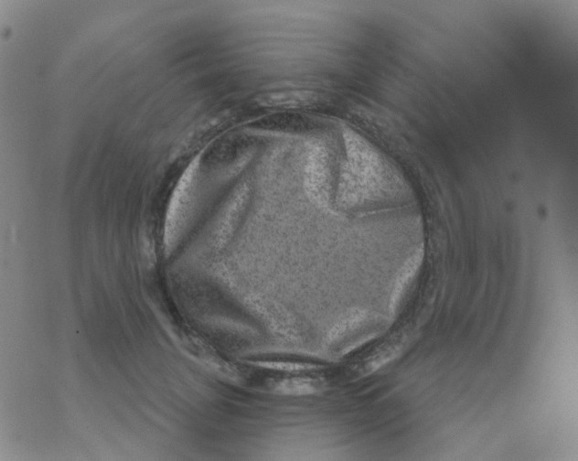 X0000076320751200610272004