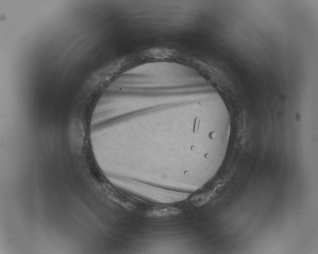 X0000076320752200610272004