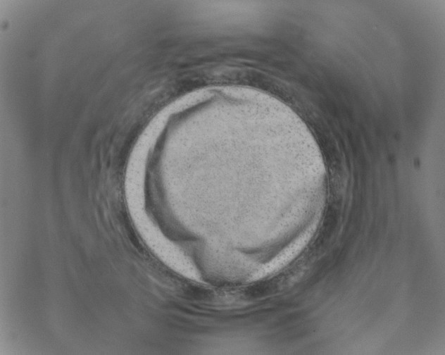 X0000076320753200610272004