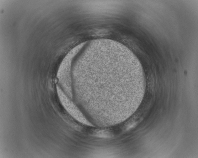 X0000076320755200610272004