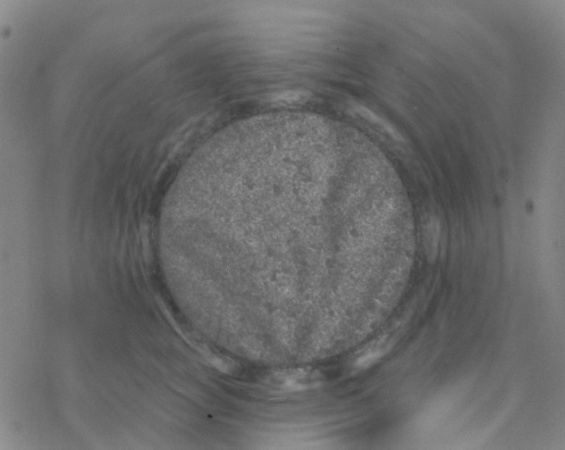 X0000076320757200610272004