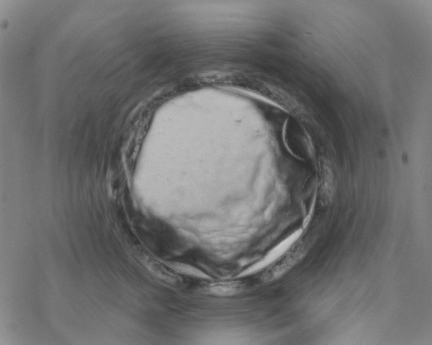 X0000076320758200610272004