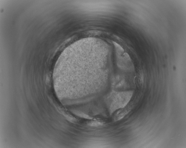 X0000076320759200610272004