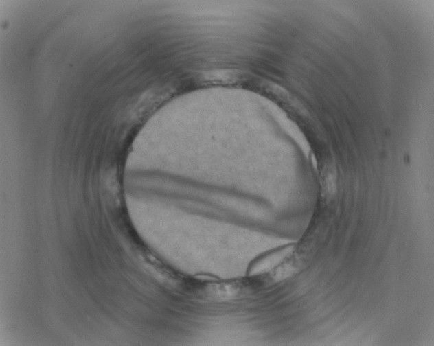 X0000076320764200610272004