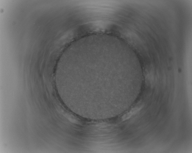 X0000076320769200610272003