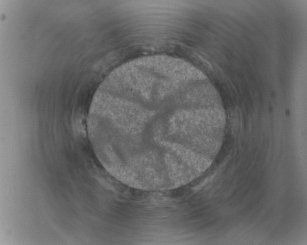 X0000076320770200610272003