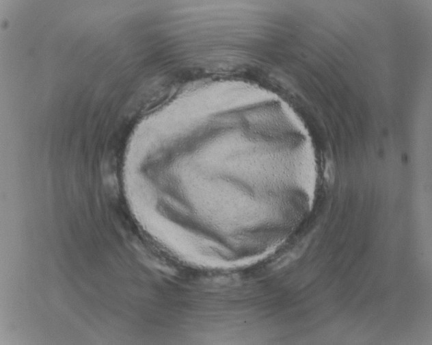 X0000076320771200610272003