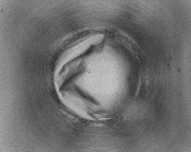 X0000076320773200610272003