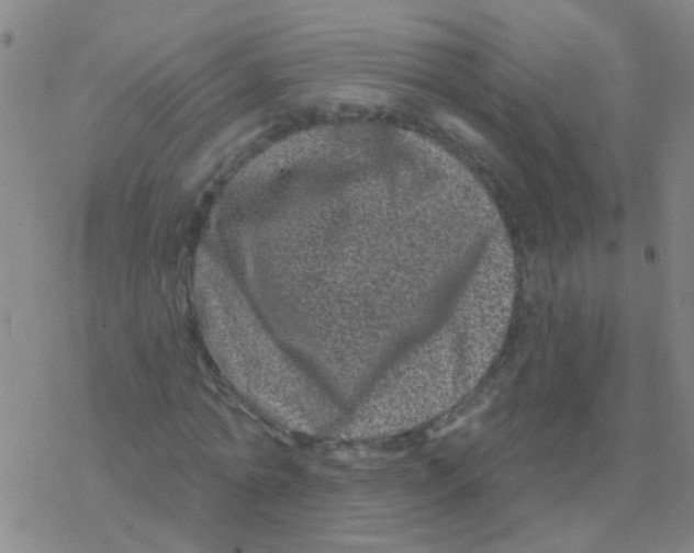 X0000076320774200610272003