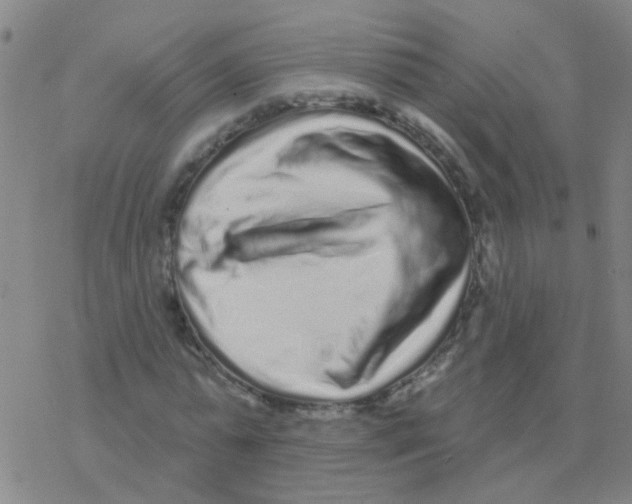 X0000076320775200610272003