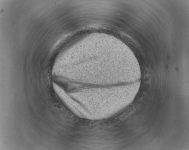 X0000076320776200610272003