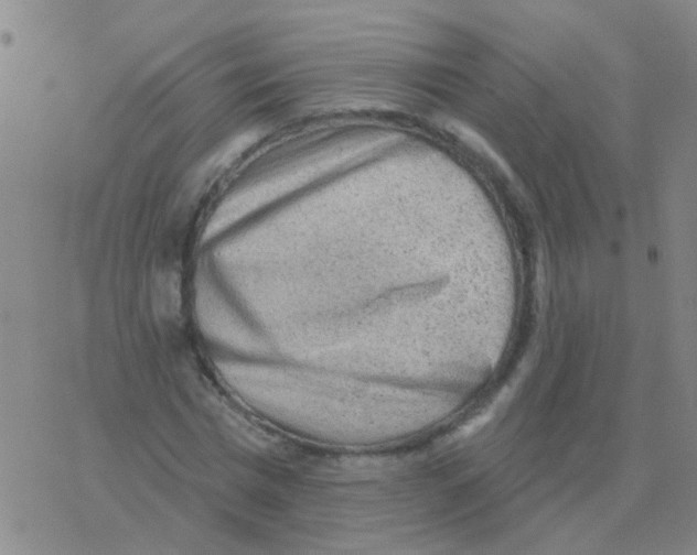 X0000076320777200610272003