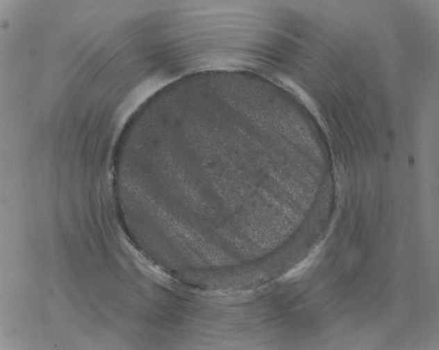 X0000076320779200610272003