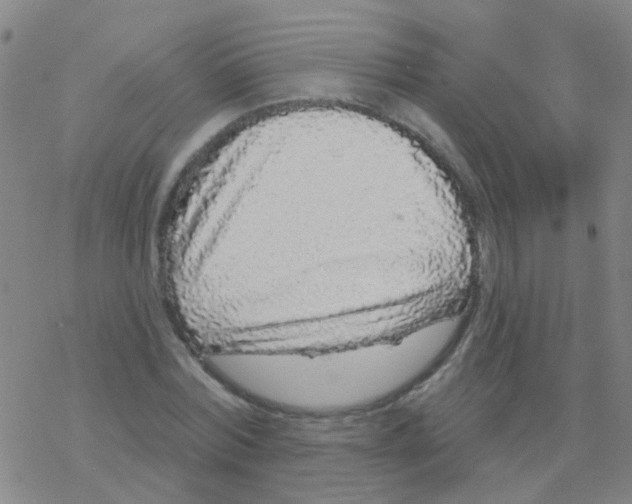 X0000076320780200610272003