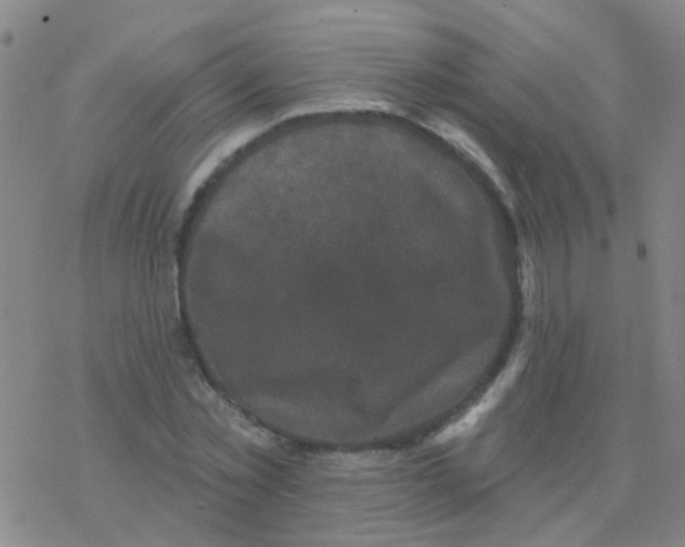 X0000076320781200610272003