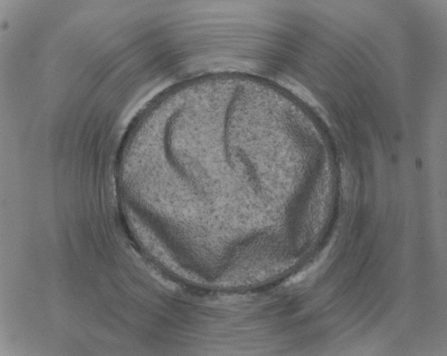 X0000076320782200610272003