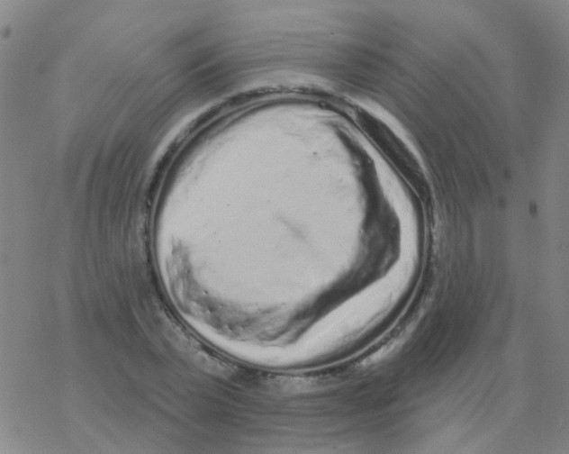 X0000076320783200610272003