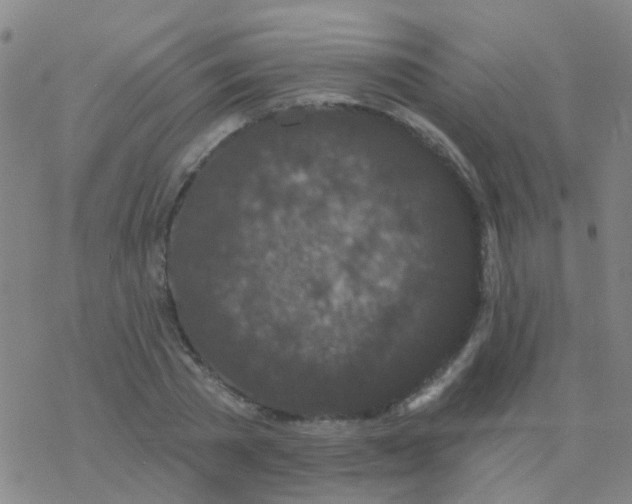 X0000076320785200610272003