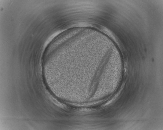 X0000076320787200610272003