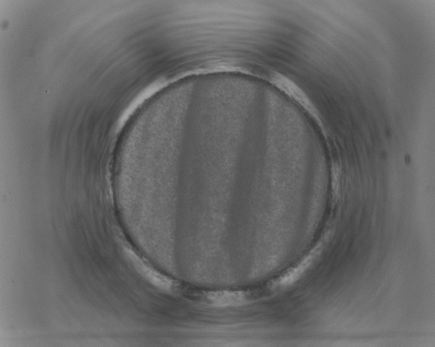 X0000076320789200610272003