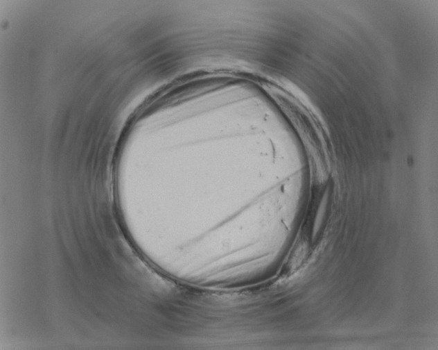 X0000076320791200610272003