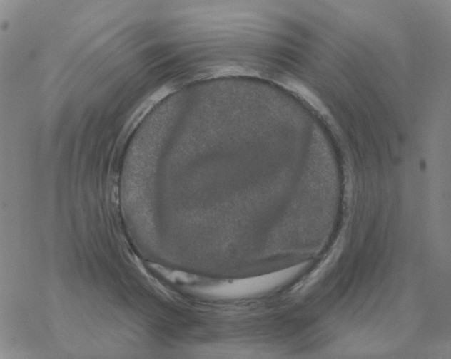 X0000076320793200610272003