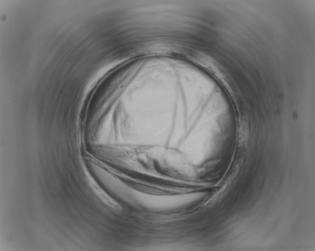 X0000076320795200610272003