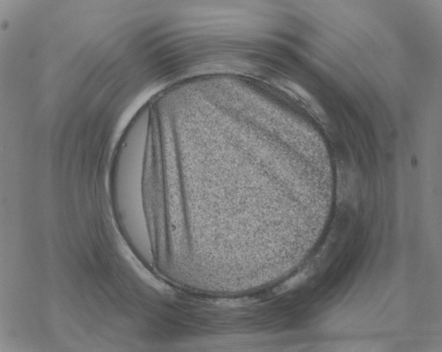 X0000076320796200610272003