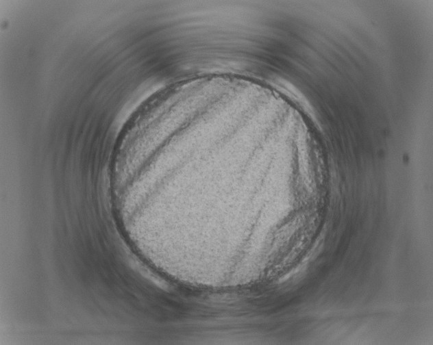 X0000076320798200610272003