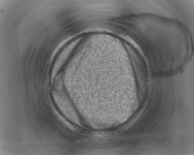 X0000076320799200610272003