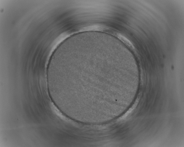 X0000076320800200610272003