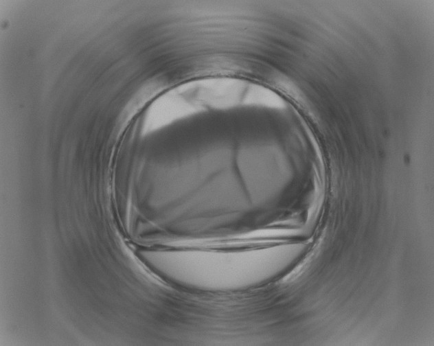 X0000076320802200610272003