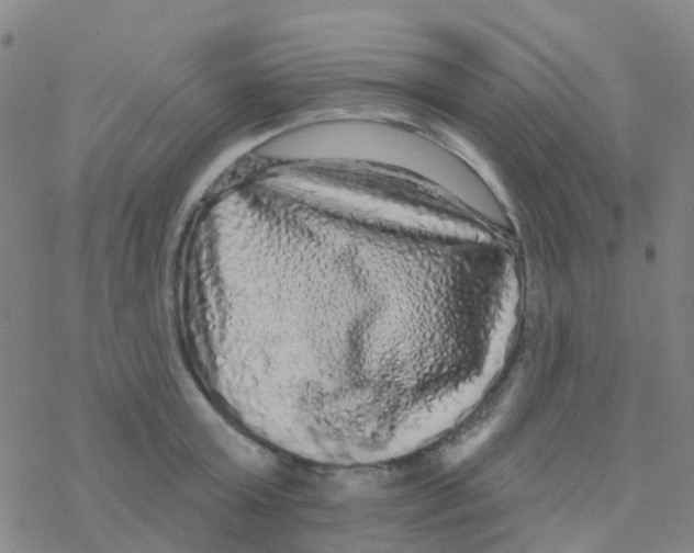 X0000076320803200610272003