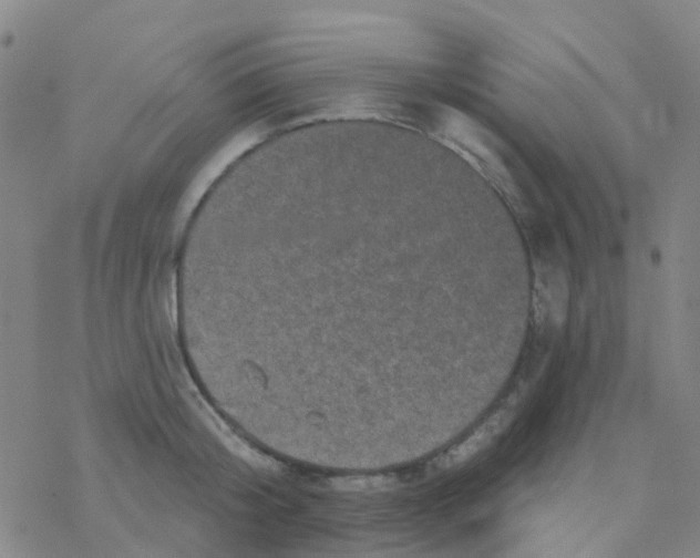 X0000076320804200610272003