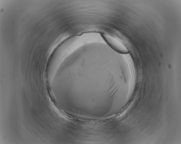 X0000076320806200610272003