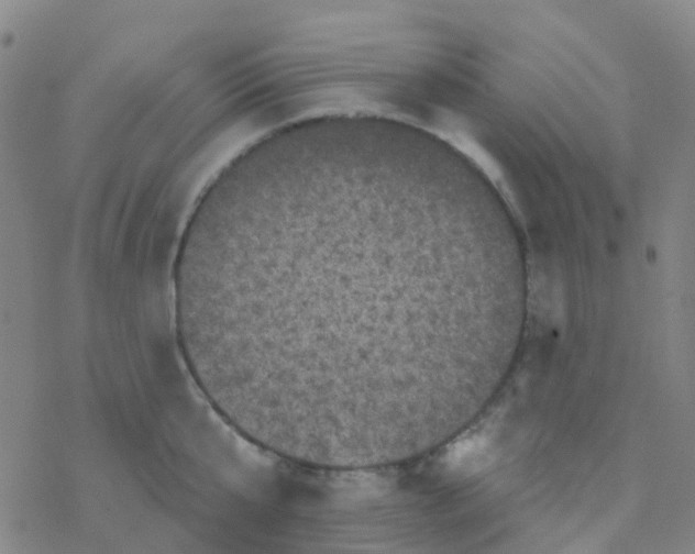 X0000076320807200610272003