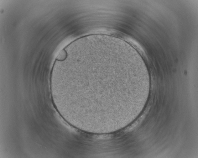 X0000076320808200610272003