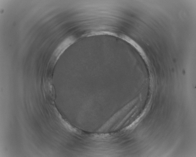 X0000076320809200610272003