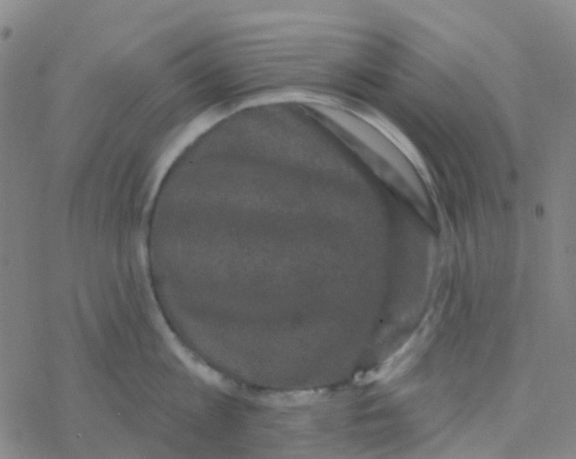 X0000076320813200610272003