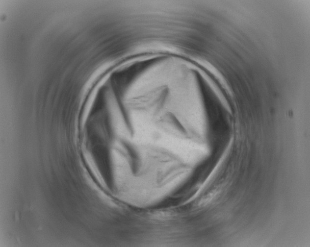 X0000076320815200610272002