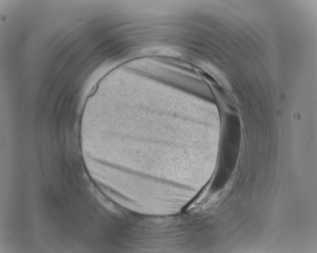 X0000076320816200610272002