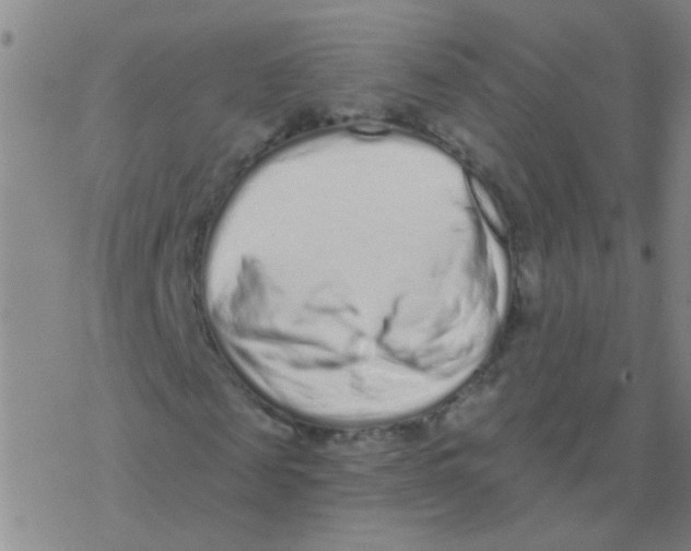 X0000076320817200610272002