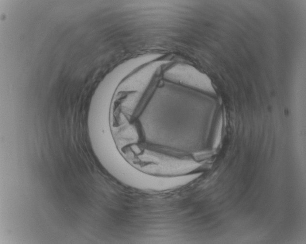 X0000076320818200610272002