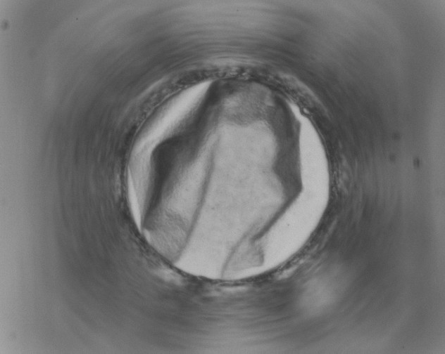 X0000076320821200610272002