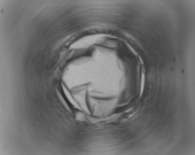 X0000076320822200610272002